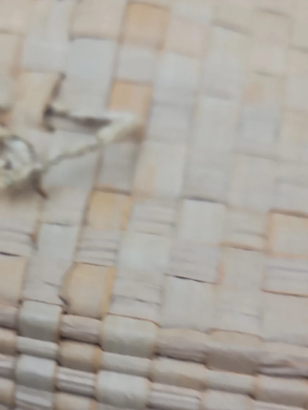 Woven Natural Basket Bowl in Neutral Tones